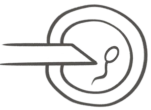 Kind iVF patient pathway embryology